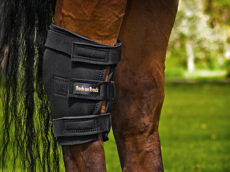 Ochraniacz na staw skokowy (prawy)