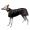 Manta perro galgo