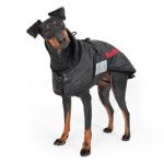 Manta para perro